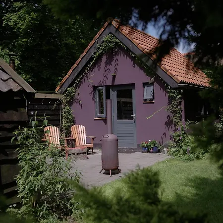 Stay Classy - Tiny House-2