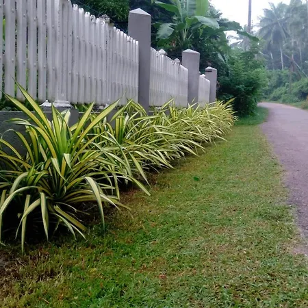 Le Meridien BnB Home Stay-2