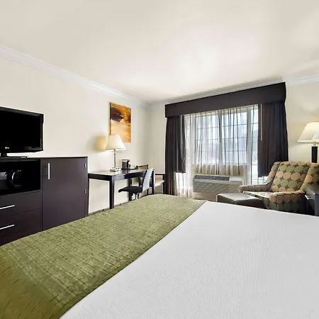 Best Western Executive Inn-3