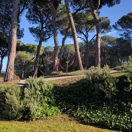 Augusta Barcelona Vallès-3