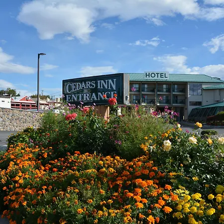 Cedars Inn-2