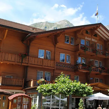 Chalet Hotel Adler-2