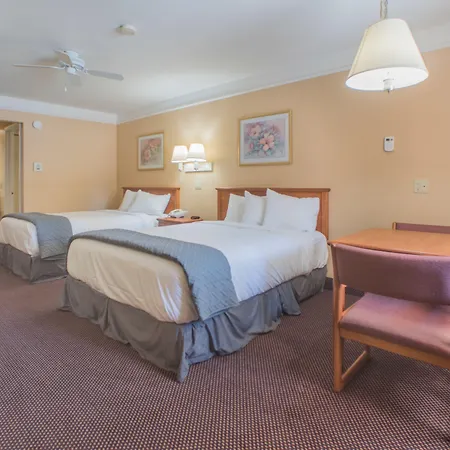 Shasta Pines Motel & Suites-3