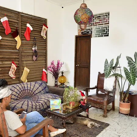 Magic Garden House-2