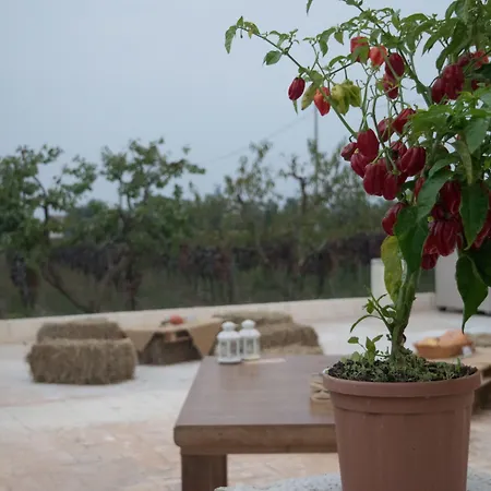 Tenuta Vigna del Noce-3