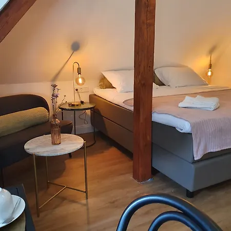Boutique Hotel Villa Horbach-2