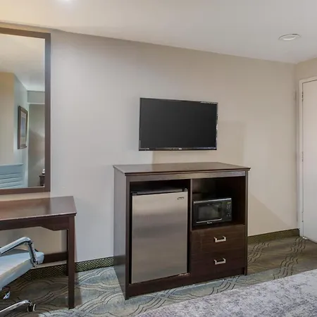 Surestay By Best Western Salt Lake City Downtown-3