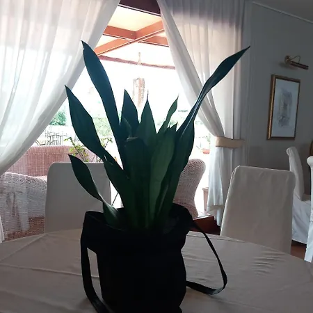 Hotel La Lampara-2