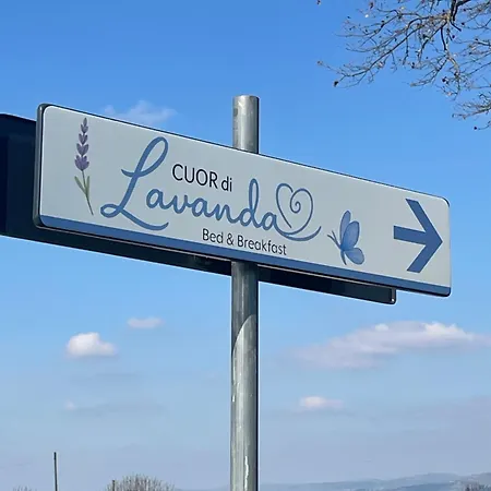 B&B Cuor Di Lavanda-3
