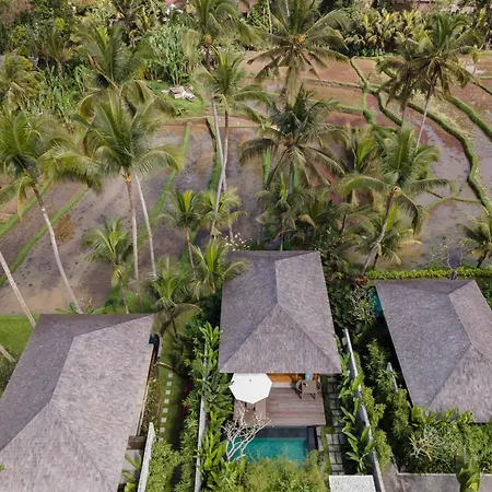 Kappa Senses Ubud-3