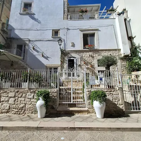 Torre Pendio B&B-3