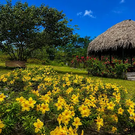 El Resort de Yanashpa - Tarapoto-3