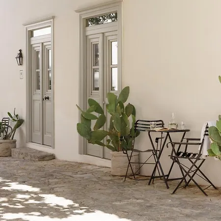 Cactus Hydra - Art Apartments-2