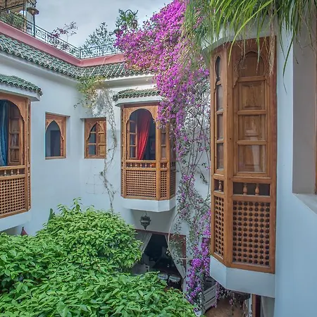 Riad Sadaka-2