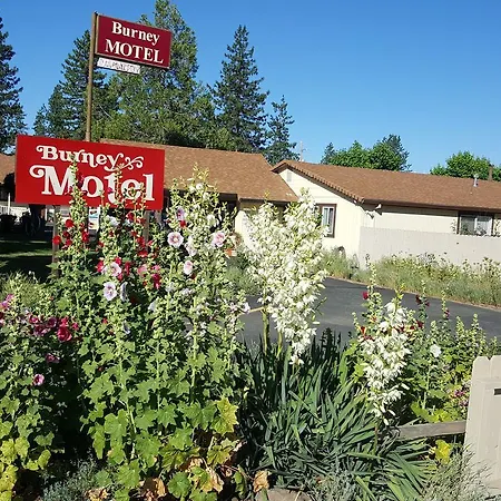 The Burney Motel-2