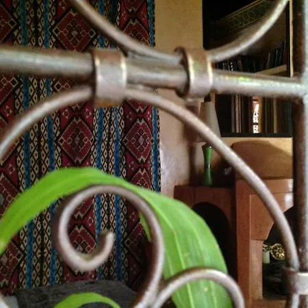 Riad Sadaka-3