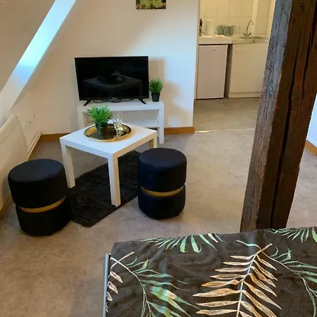 Studio à Ribeauvillé-3