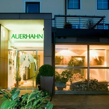 Hotel Restaurant Auerhahn-2