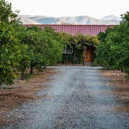 Terra Del Valle Bed & Breakfast-2
