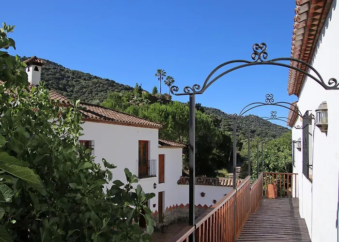Molino Cuatro Paradas