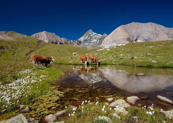 Wanderhotel Taurerwirt