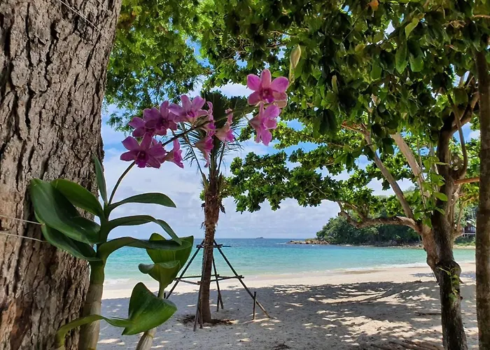 Blue Bay Bungalow