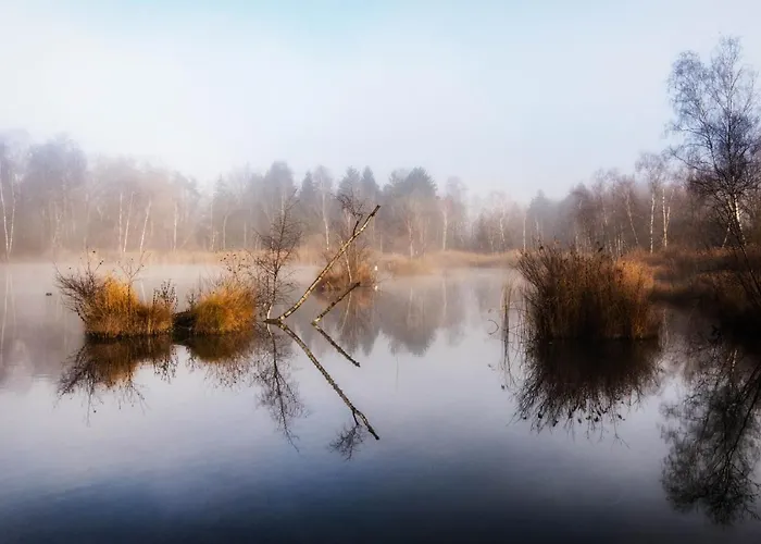 Motel Hohenems