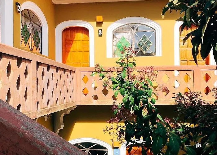 Casa Cafeólogo