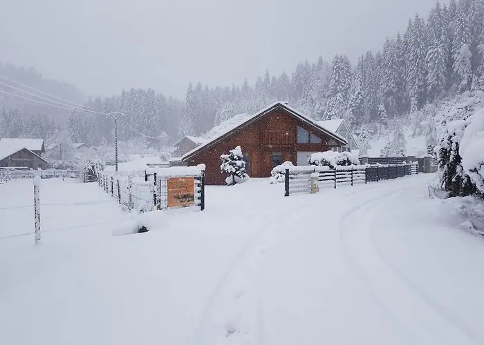 Chalet Tout Confort 'Le Grand Pre', Dog Friendly, Terrain Cloture, Garage