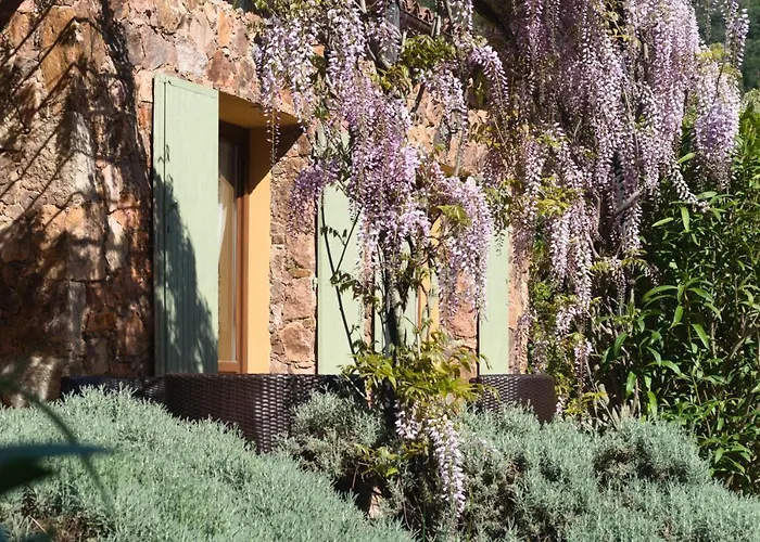 Domaine Codaleone