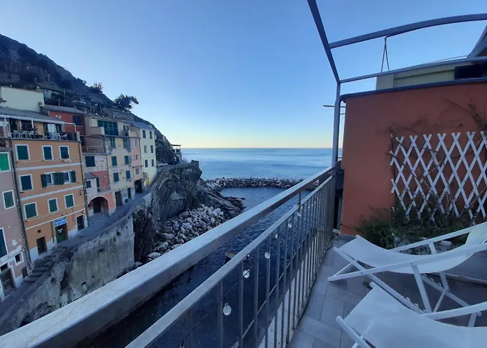 Pepita Di Rio