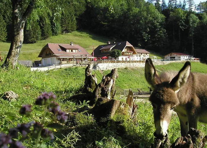 Ferienwohnung Hochsteinalm Traunkirchen