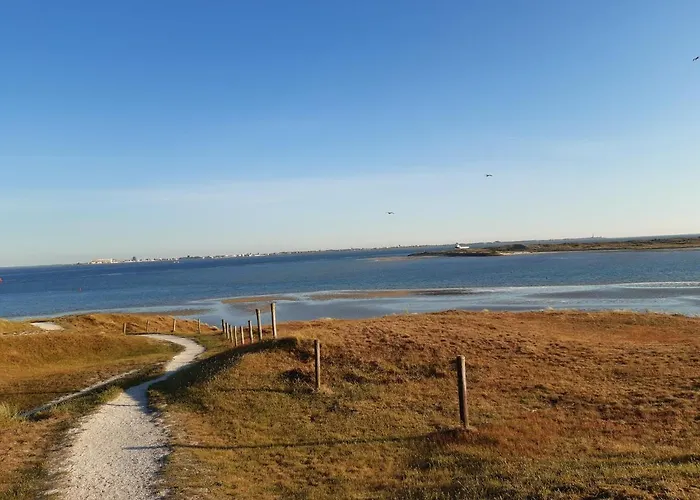 Genieten Texel 8
