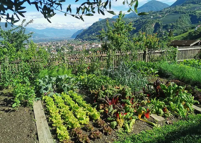 Gloegglhof
