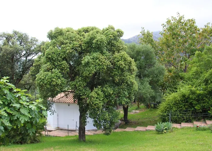 Finca El Campo Villa Privada Con Piscina Y Vistas A La Naturaleza