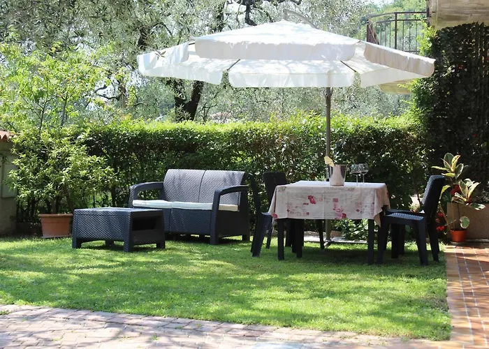 Relax In The Olive Grove