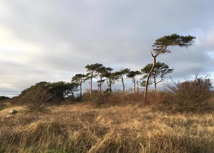 Ferienwohnung Wieker Bodden
