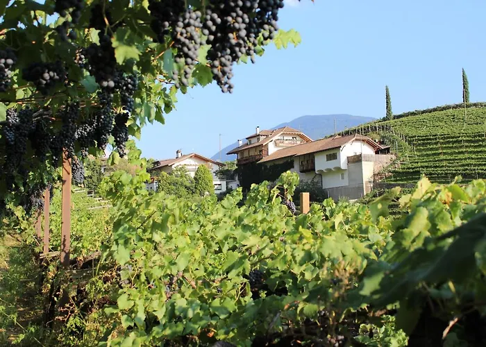 Weingut Eberlehof