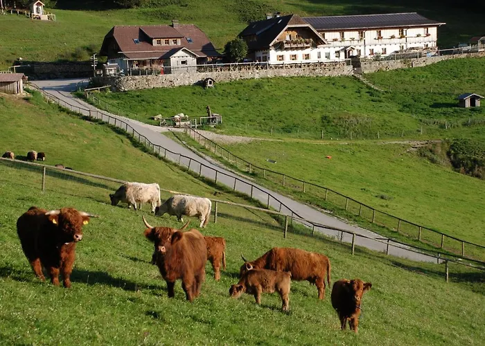 Ferienwohnung Hochsteinalm Traunkirchen