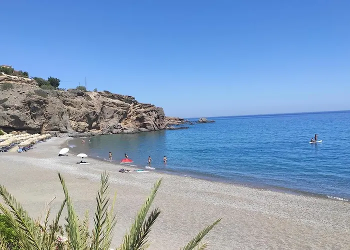 Blue Paradise