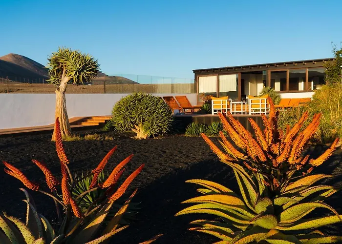 Villa Agave // Villa Cardon