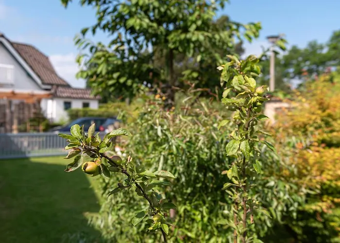 Ferienhaus Luetten Kulli - 2