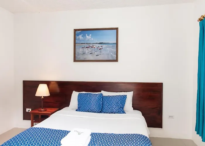 Hotel La Gran Tortuga - ᯤ Starlink