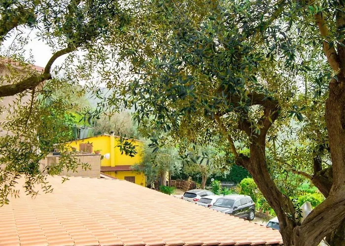 Villa Aurora Oasi Verde