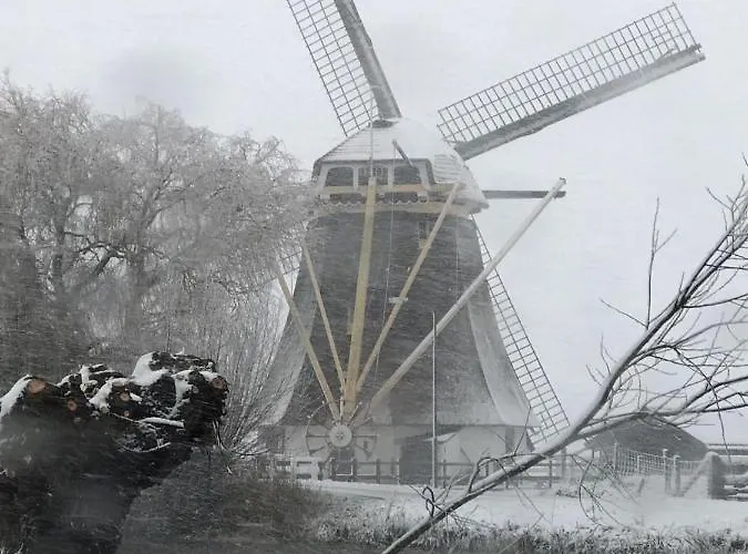 Mondriaanmolen, A Real Windmill Close To Amsterdam