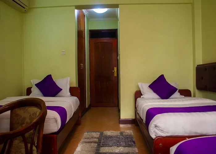 New Hotel Aquiline
