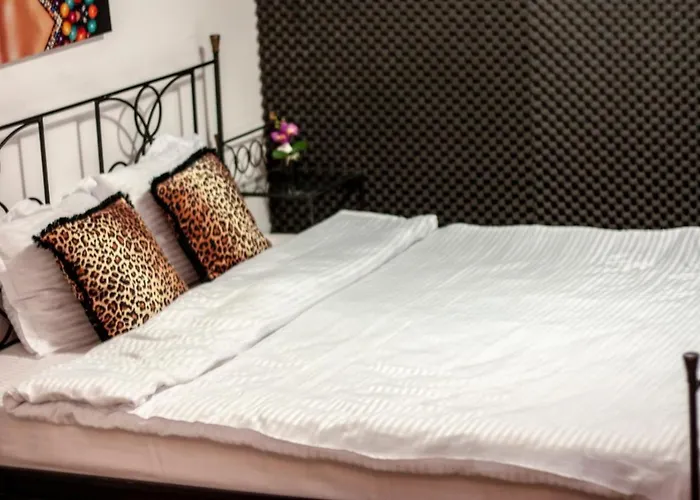 Happy Accomodation