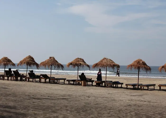 Palm Grove Beach Resort