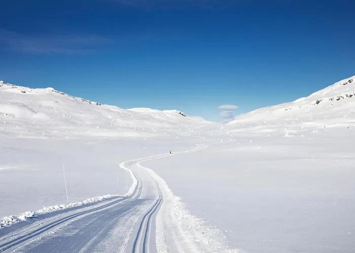 Skeikampen Servicesenter