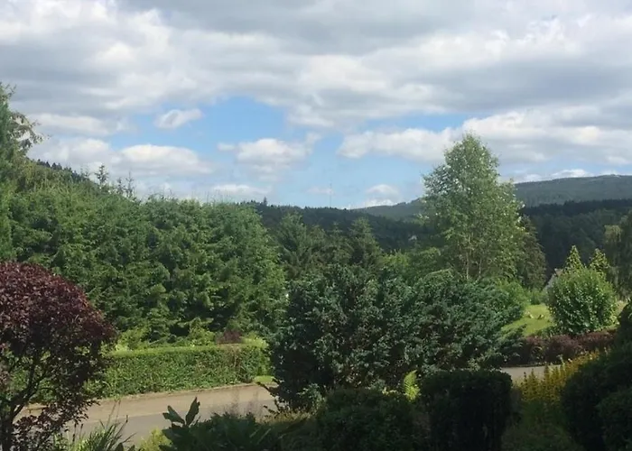 Eulennestchen-Harz Fewo S1 Oder L2 Fuer Single, Paar Oder Familie & Hund Oberharz